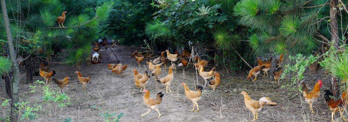 1627374791187659.jpg 1627374791187659.jpg